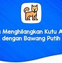 Cara Menghilangkan Kutu Rambut Dengan Bawang Putih